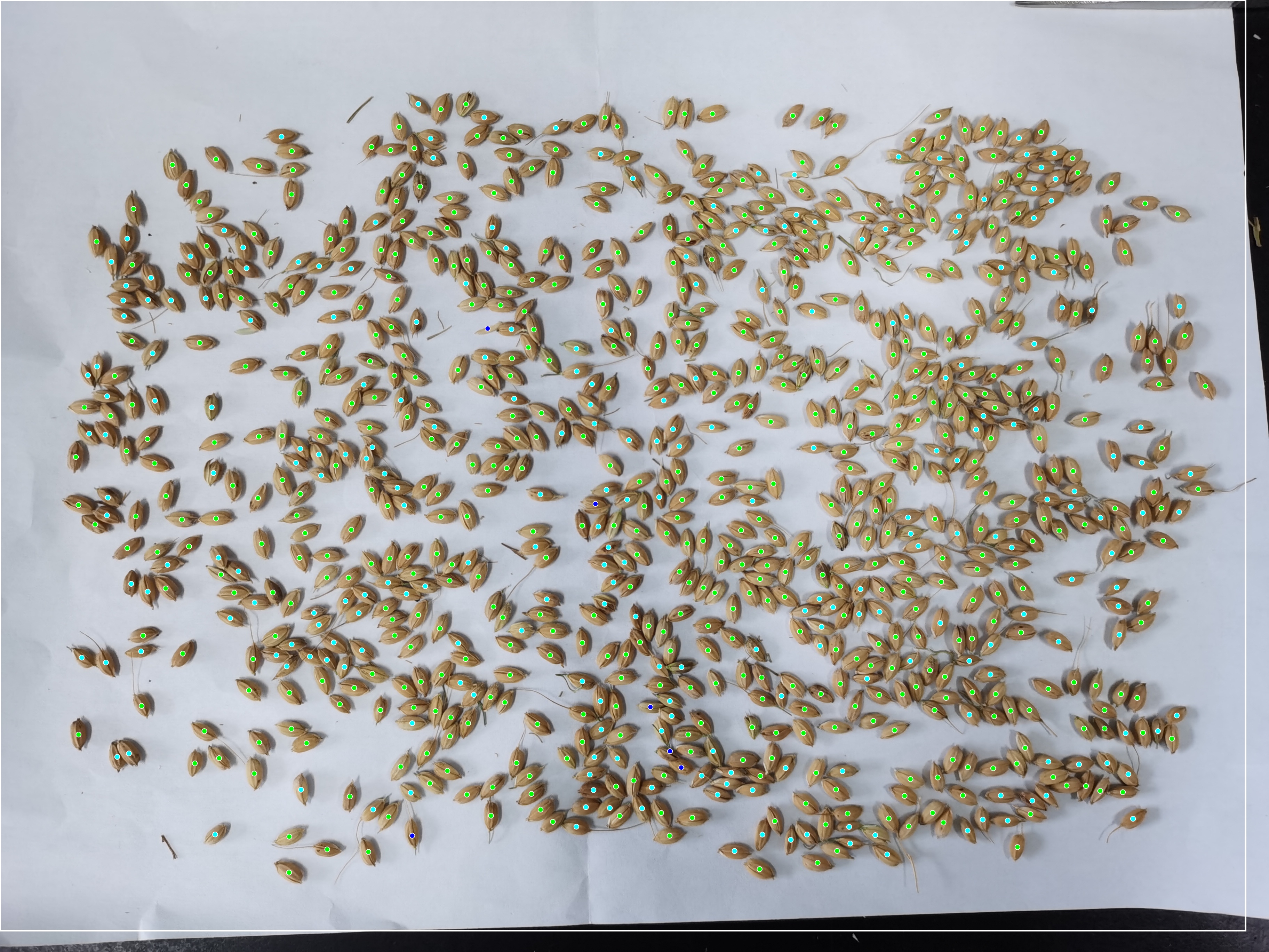 以下为使用效果:目前支持的农作物有: 水稻,红豆,黄豆,黑豆,拟南芥,油