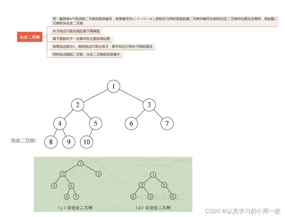 【树和二叉树】数据结构二叉树和树的概念认识