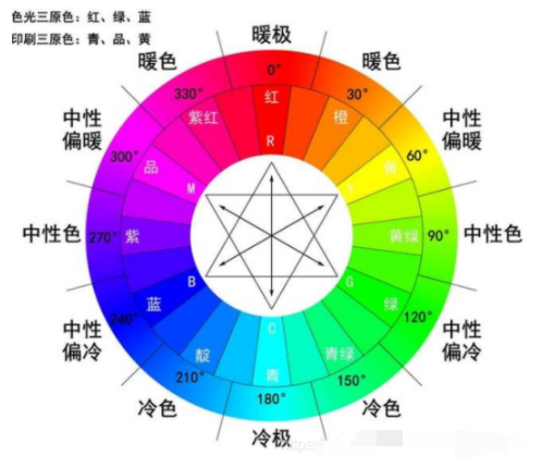 色素带示意图图片