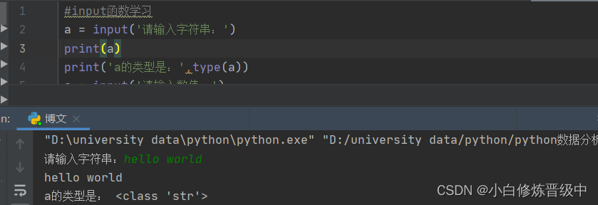 python的input函数用法