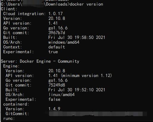 docker version