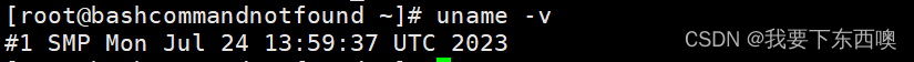 linux uname 打印内核版本