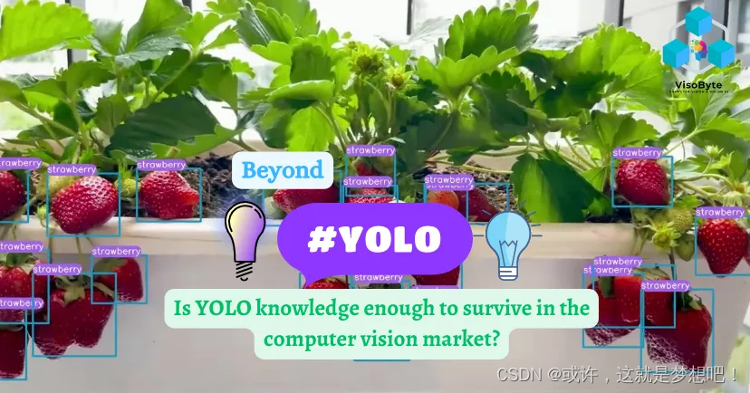 图1.1：YOLO知识是否足以在计算机视觉市场生存
