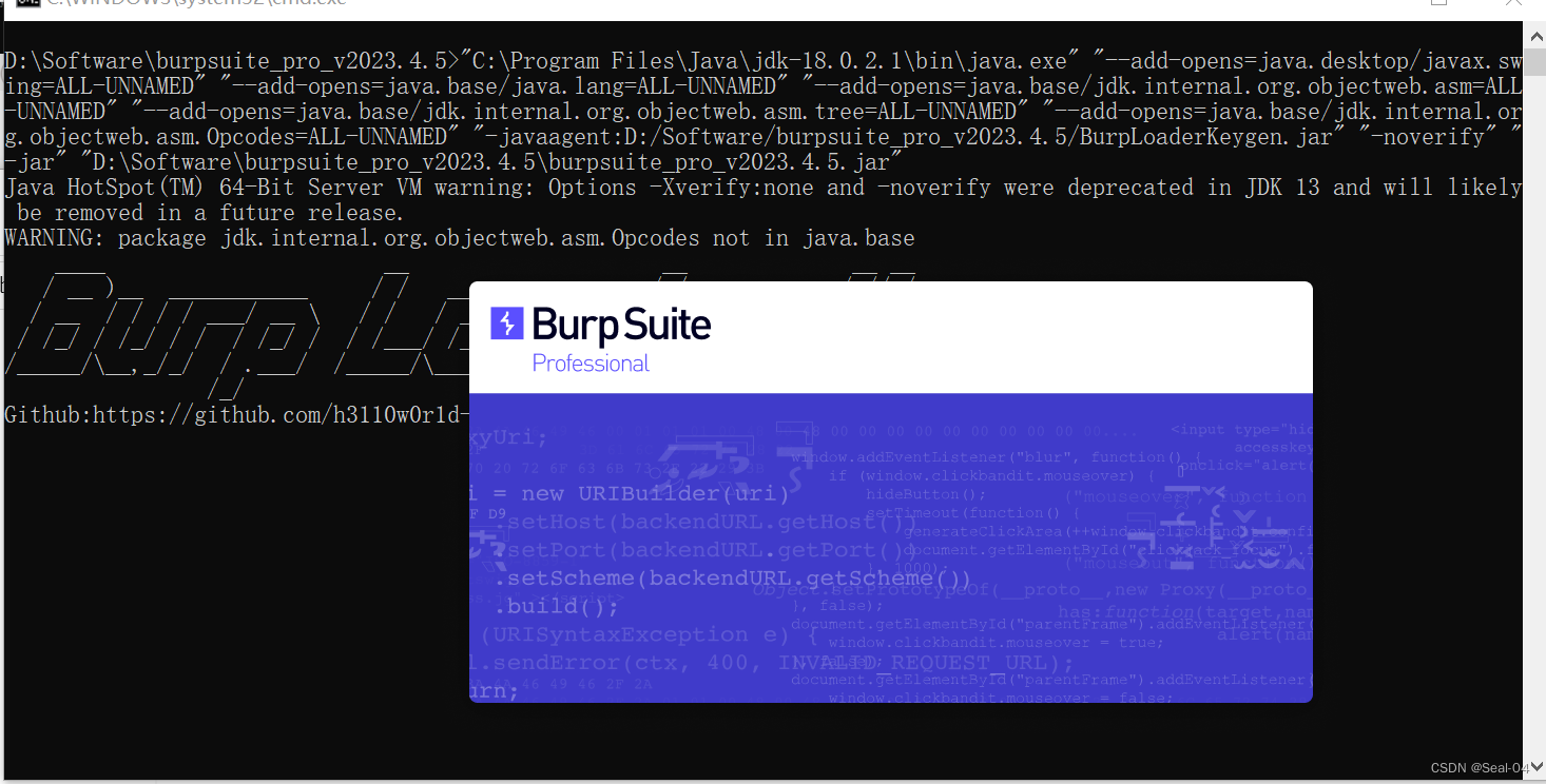网络安全-02-BurpSuite工具安装