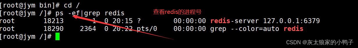 Redis学习---01(Redis安装超详细)