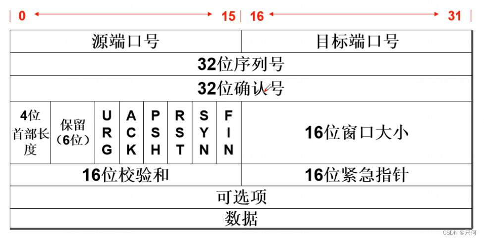 tcp的封装格式