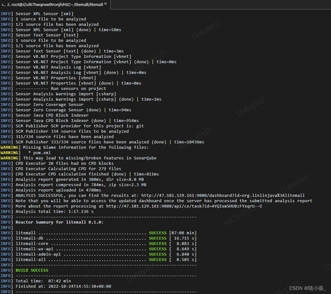 搭建docker+sonarqube并使用scanner、maven分析项目_failed to execute goal org ...