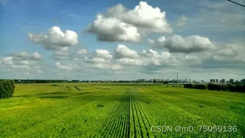 三大平原的分布和特点:东北平原,地表以肥沃的黑土著称,海拔多在200米
