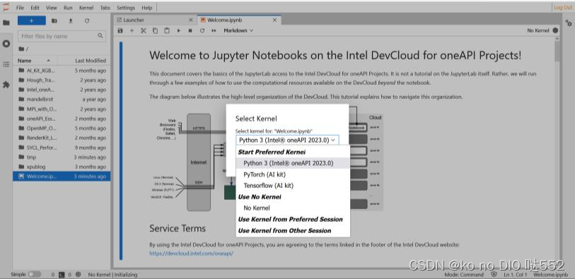 关于写一篇有关DPC++博客来完成上机作业这件事_运行sycl程序 环境配置-CSDN博客