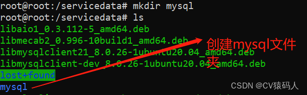 Ubuntu中mysql8初始化