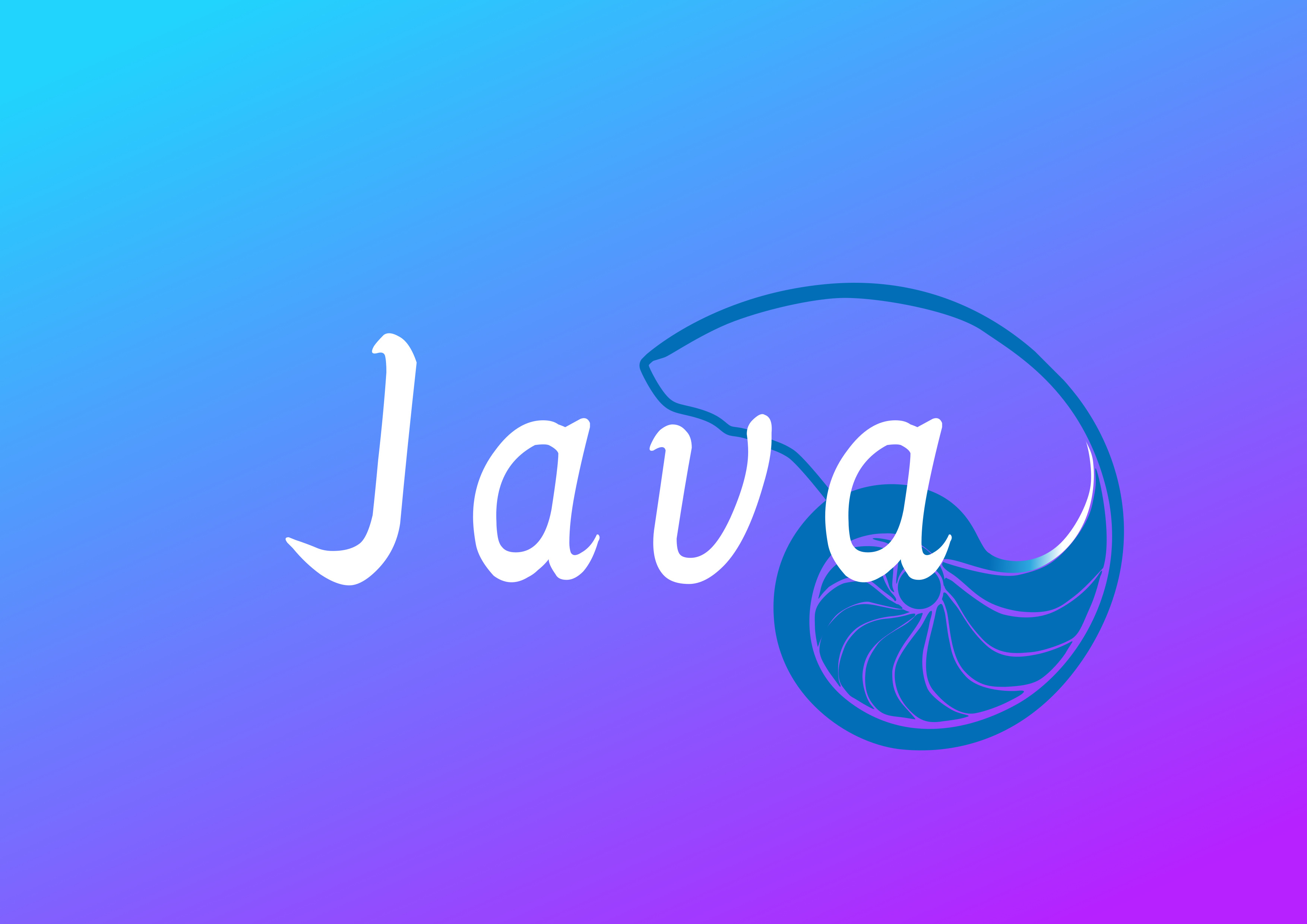 什么是java _什么是java虚拟机-第2张图片-潮百科