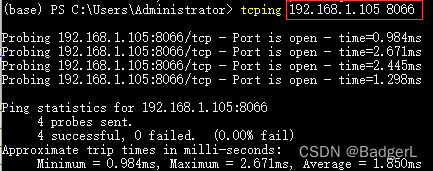 ping through port 8066