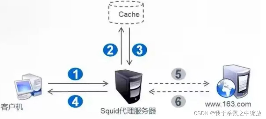 Squid代理服务器应用_squid3.5.28-CSDN博客
