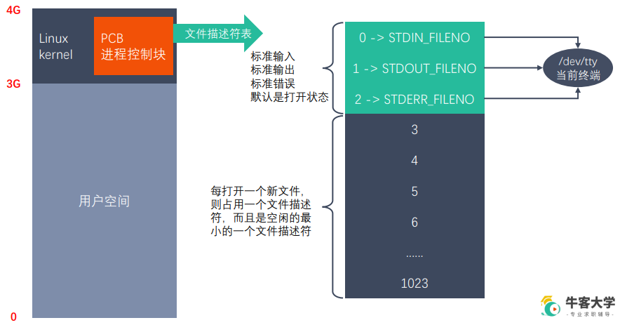 【Linux系统编程学习】 文件描述符