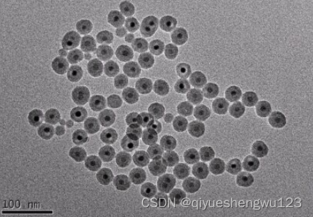 SA修饰红色乳胶微球200nm;GMA修饰聚苯乙烯微球400nm-CSDN博客
