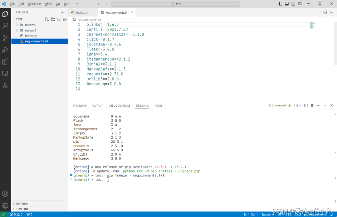 提升Python开发技巧：深入了解虚拟环境_windows terminal 配置 python虚拟环境-CSDN博客