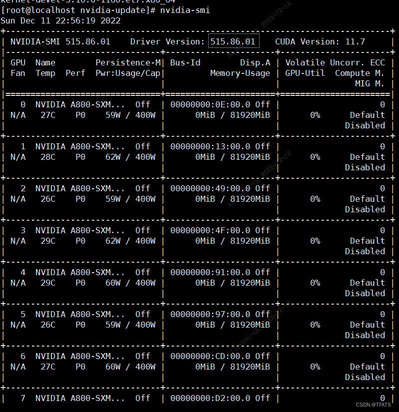 安装 NVSwitch GPU 服务器的 cuda 驱动版本、nvidia-docker 指南