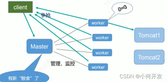 Nginx 入门到精通 笔记