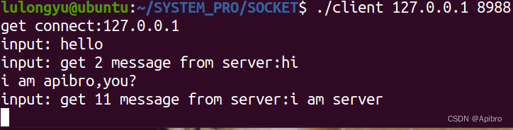 【Linux】系统编程之网络编程（socket）