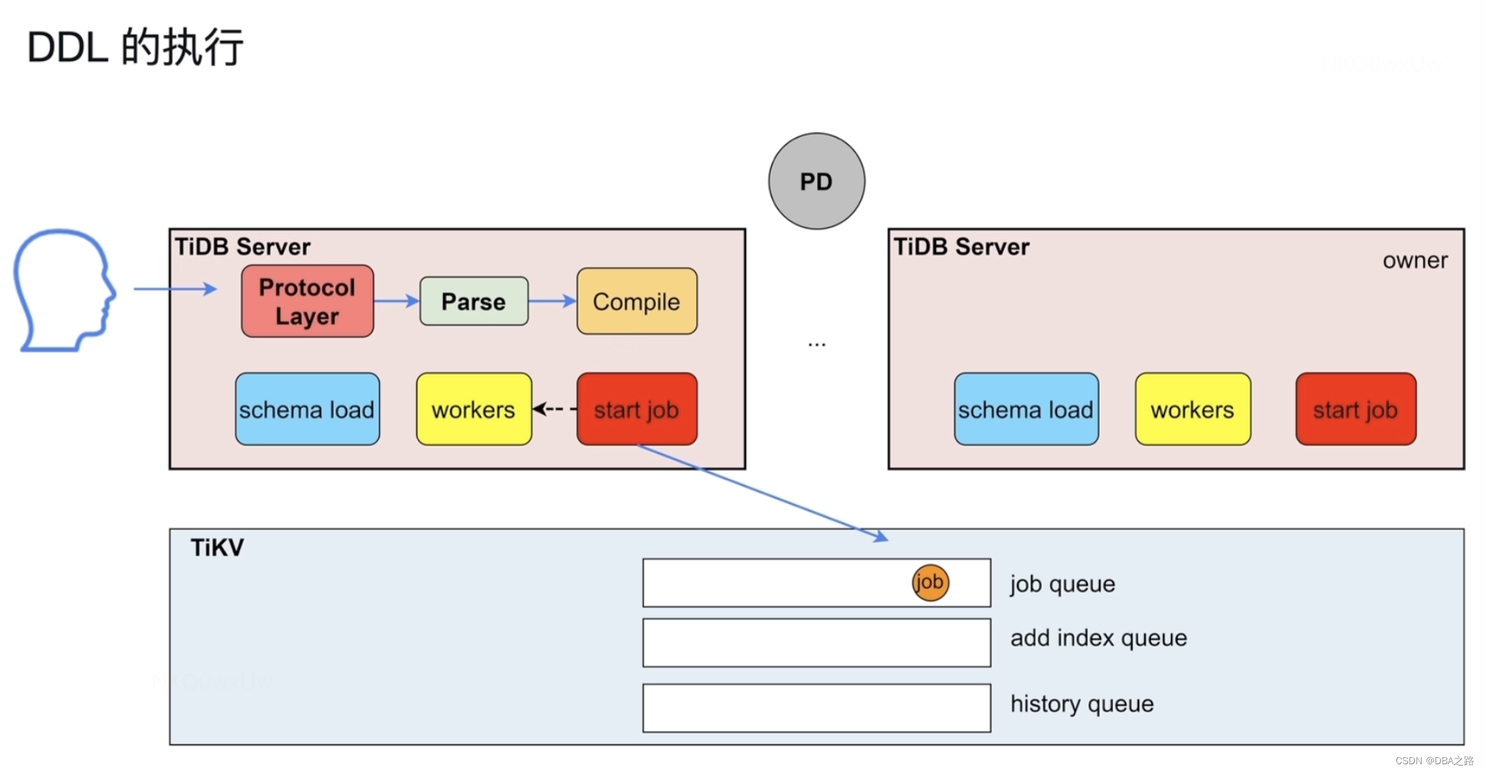 【TiDB理论知识 07】SQL执行流程