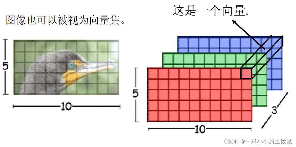 self-attention自注意力机制的结构详解（1）