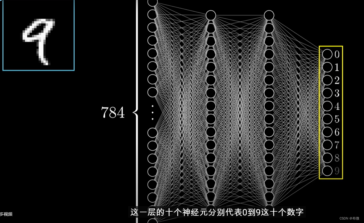 整个网络