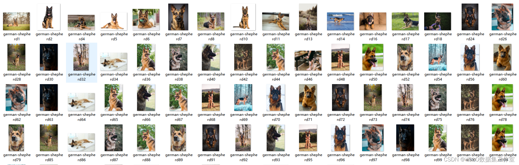 YOLO目标检测——小狗图像数据集下载分享