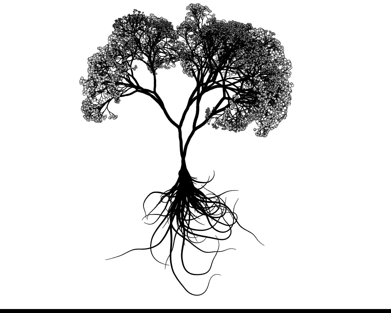 数据结构第一章_铲屎官白茶的博客-csdn博客