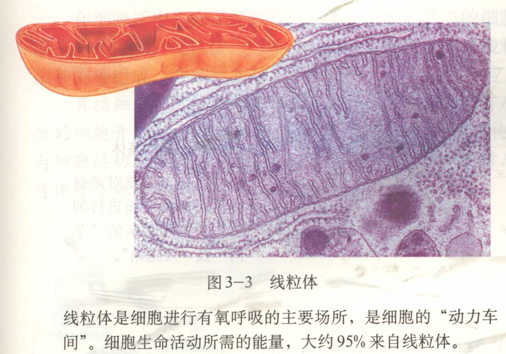 8b4248554da74b49a48b4fe8706df1eb.png
