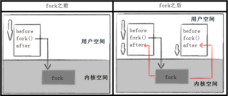 父子进程执行流