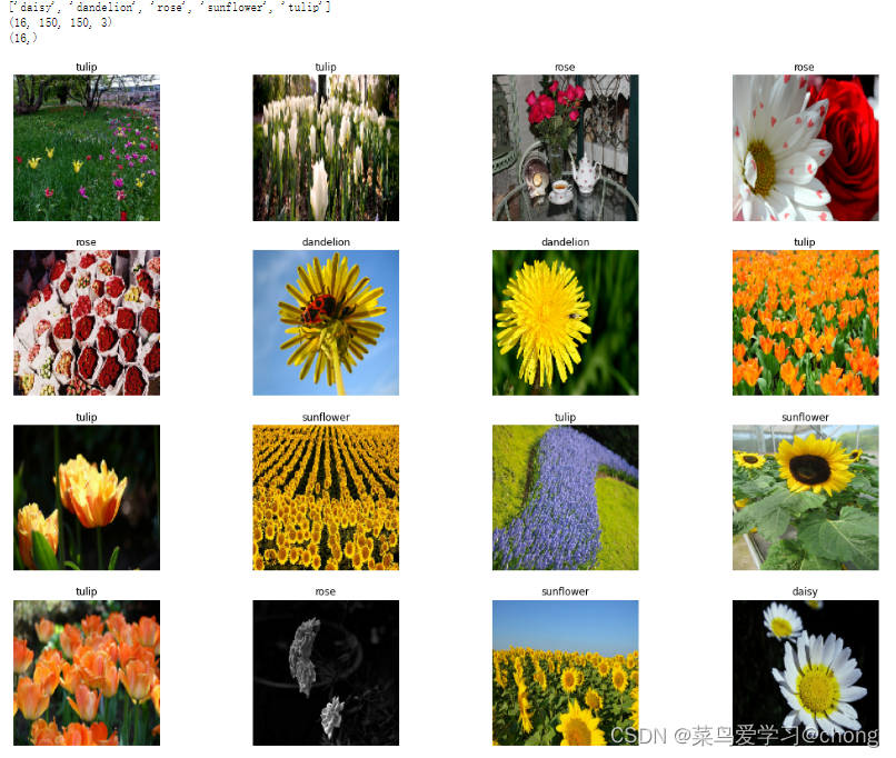 应用 Tensorflow 进行花卉识别(flower_recognition)_flowers recognition-CSDN博客