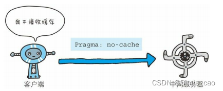 no-cache