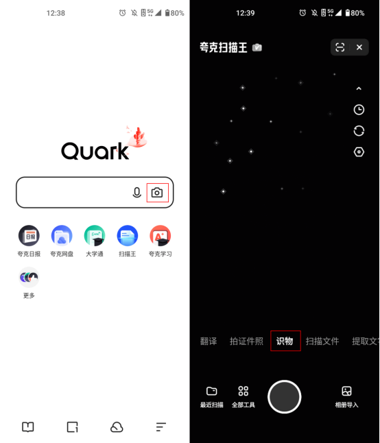 三分钟让你学会怎么识别花卉品种
