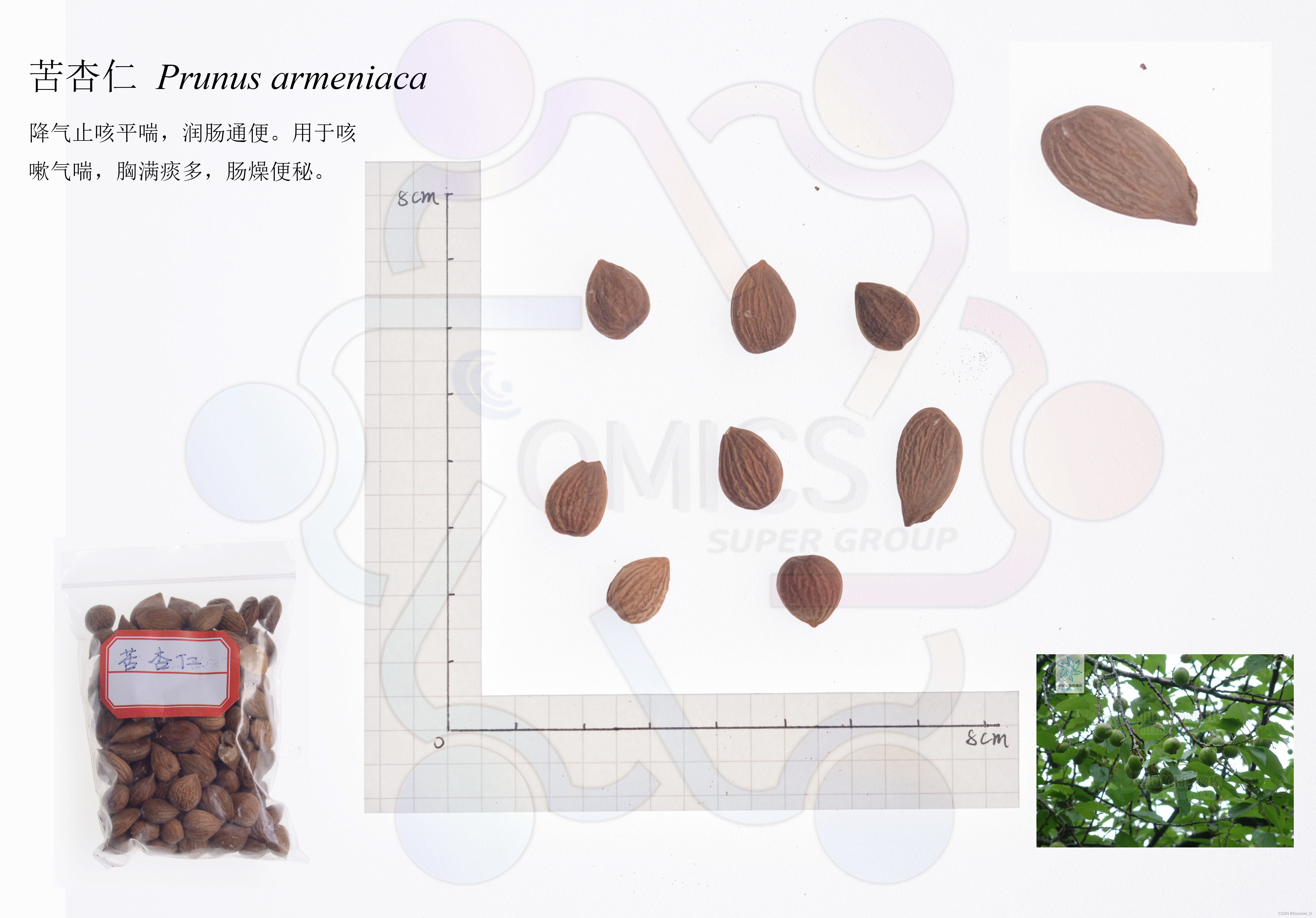 利用神经网络进行中草药分类识别