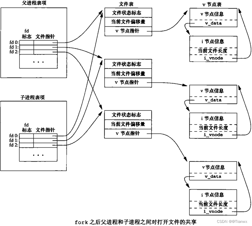 父进程和子进程之间对打开文件的共享