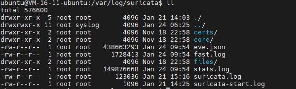 Suricata ELK 01 Suricata suricata elk CSDN 