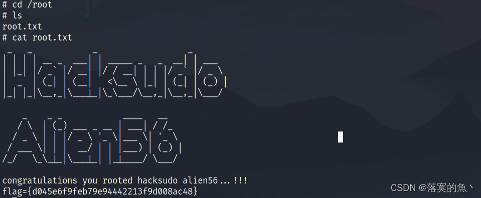 看完这篇 教你玩转渗透测试靶机Vulnhub——Hacksudo: Aliens