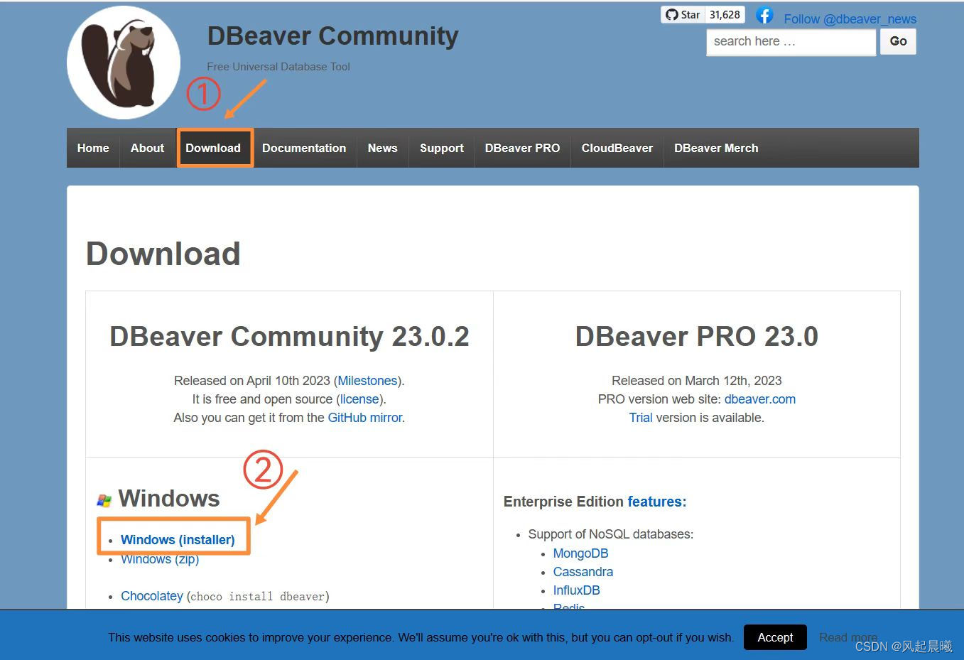DBeaver 23.2.0 Ultimate Edition for mac download