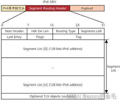 SRv6 报文转发