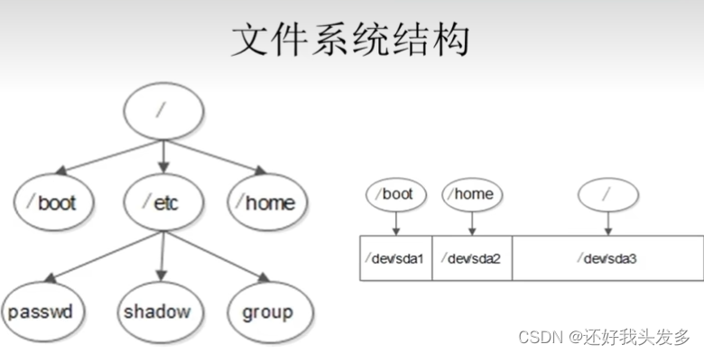 文件系统结构