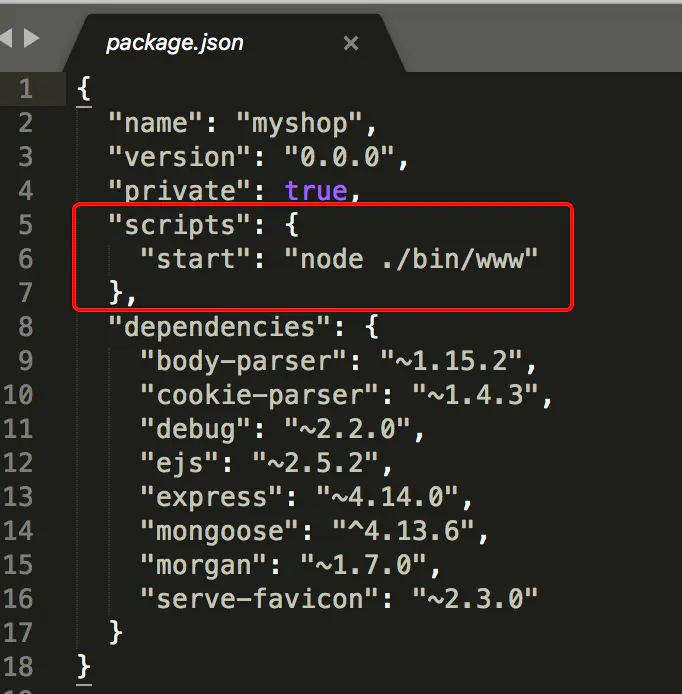 package.json