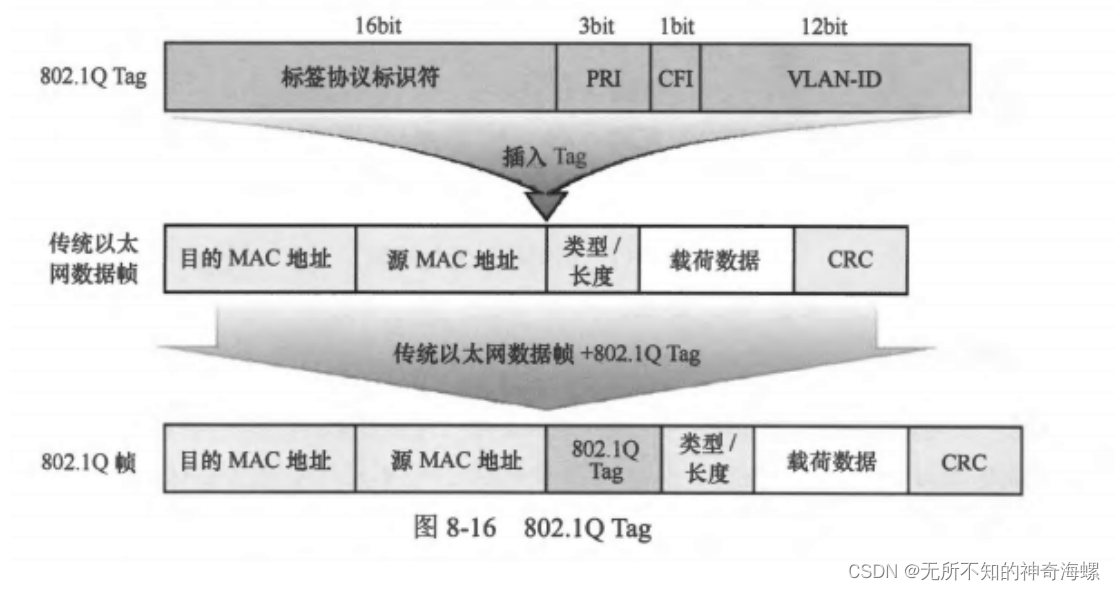 HCIP之路VLAN