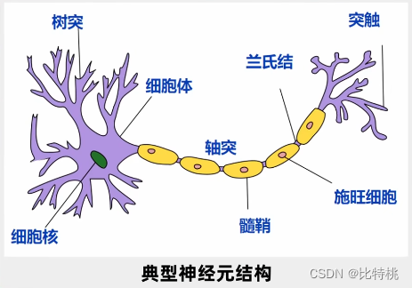 ここに画像の説明を挿入