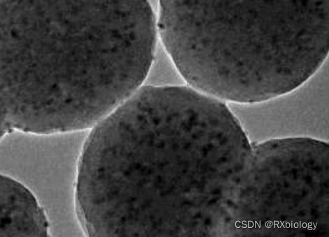 NiPc-Fe3O4纳米复合粒子，碳包覆空心Fe3O4纳米粒子，直径为300～600 nm,晶化程度较高