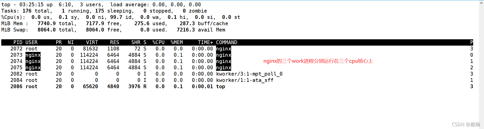 Nginx 栀婉的博客 Csdn博客