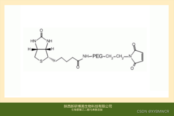 Maleimide-PEG-Biotin,Biotin-PEG-MAL,生物素PEG马来酰亚胺用于生物分子检测