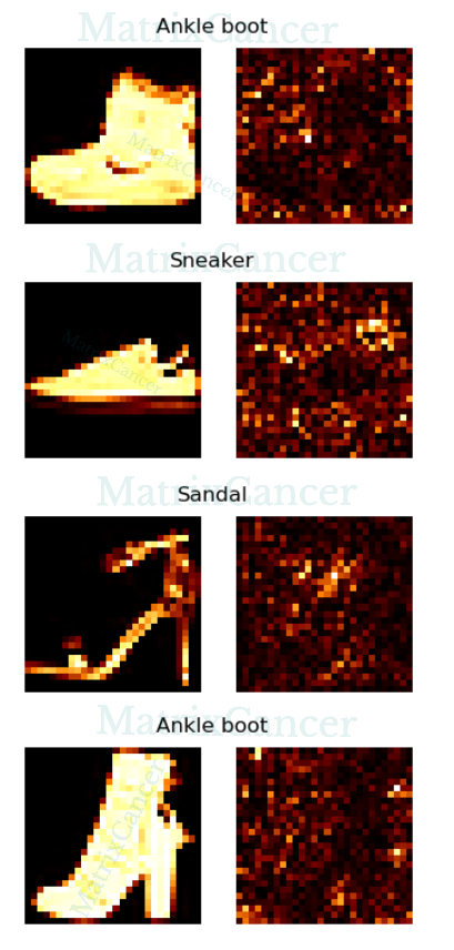 saliency map