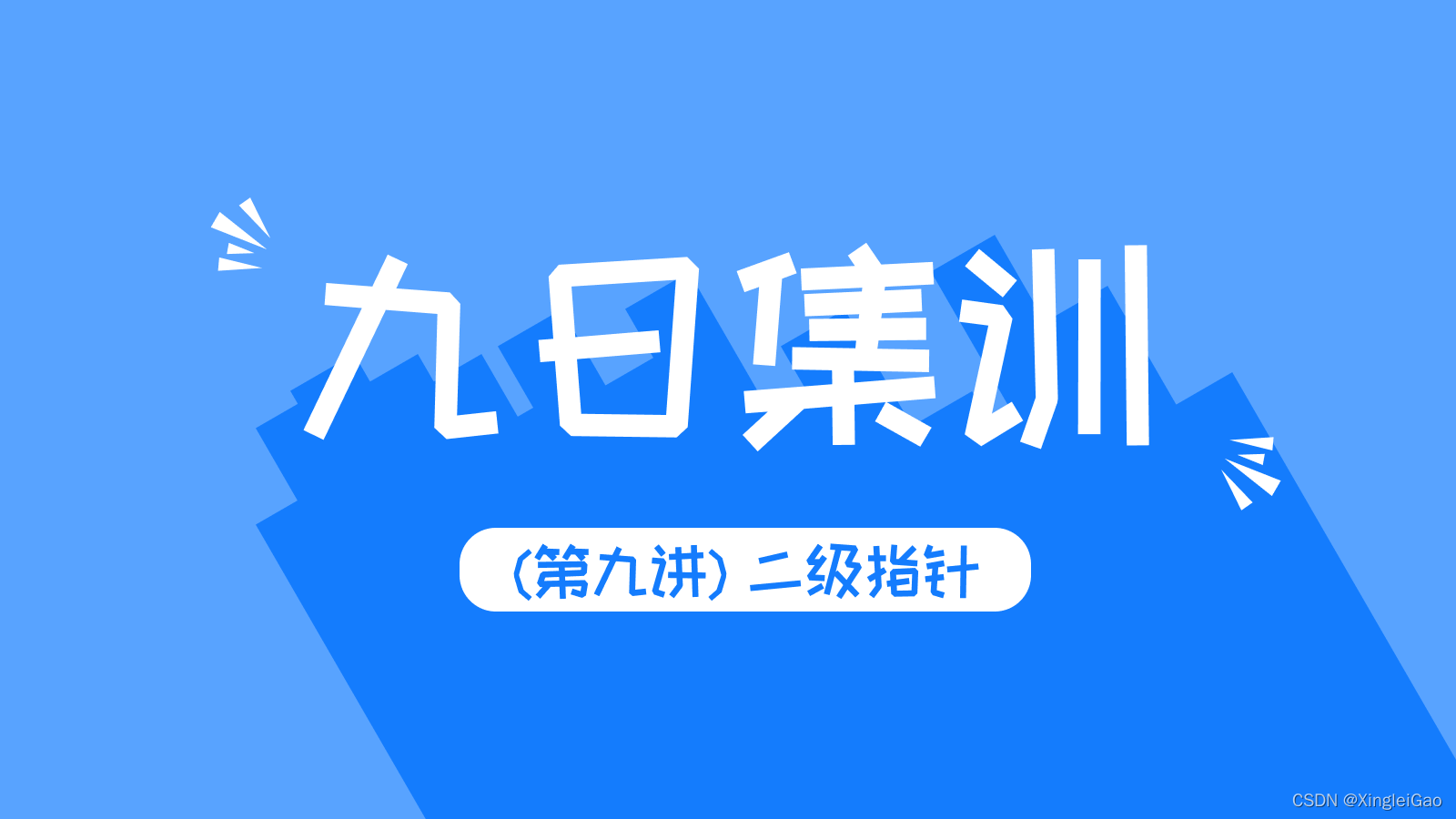 【解题报告】《LeetCode零基础指南》(第九讲) 二级指针