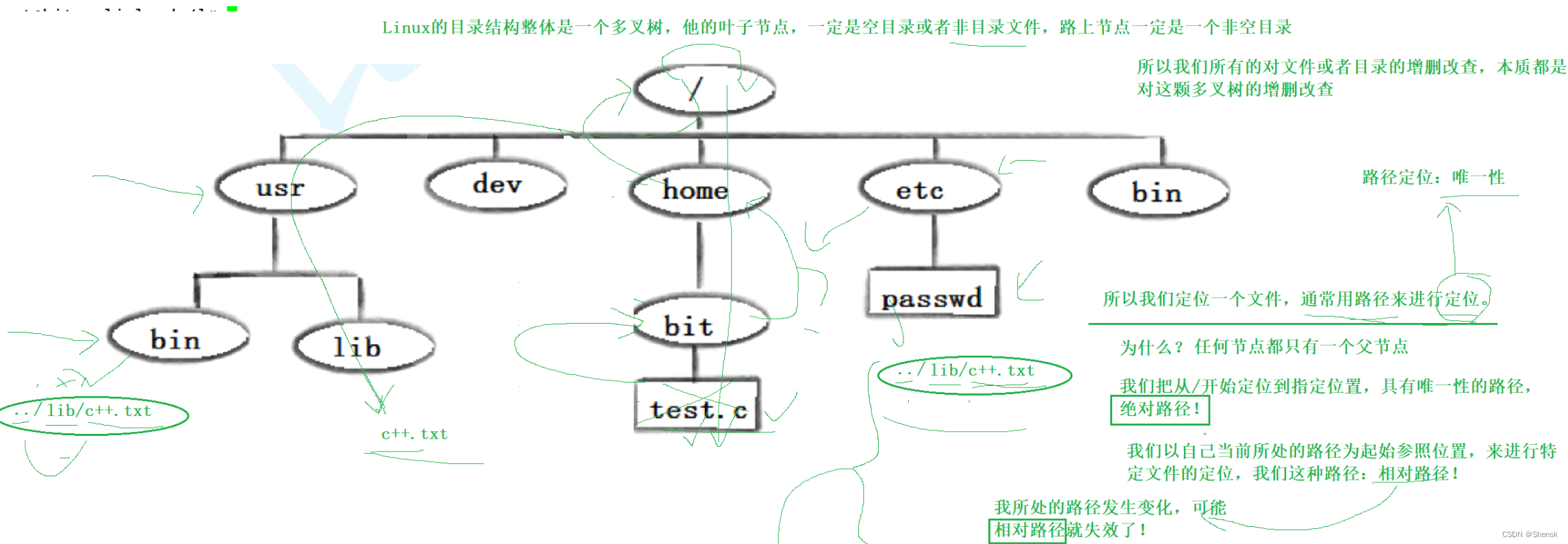 Linux命令行操作/选项介绍，文件分类/内容与属性/绝对相对路径，隐藏文件与整个目录结构