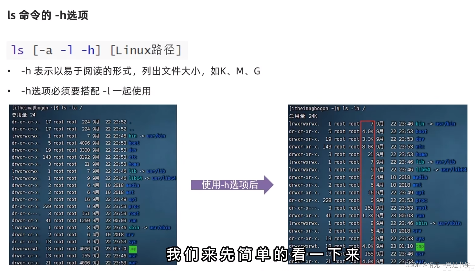 Linux基础学习之目录结构、ls命令